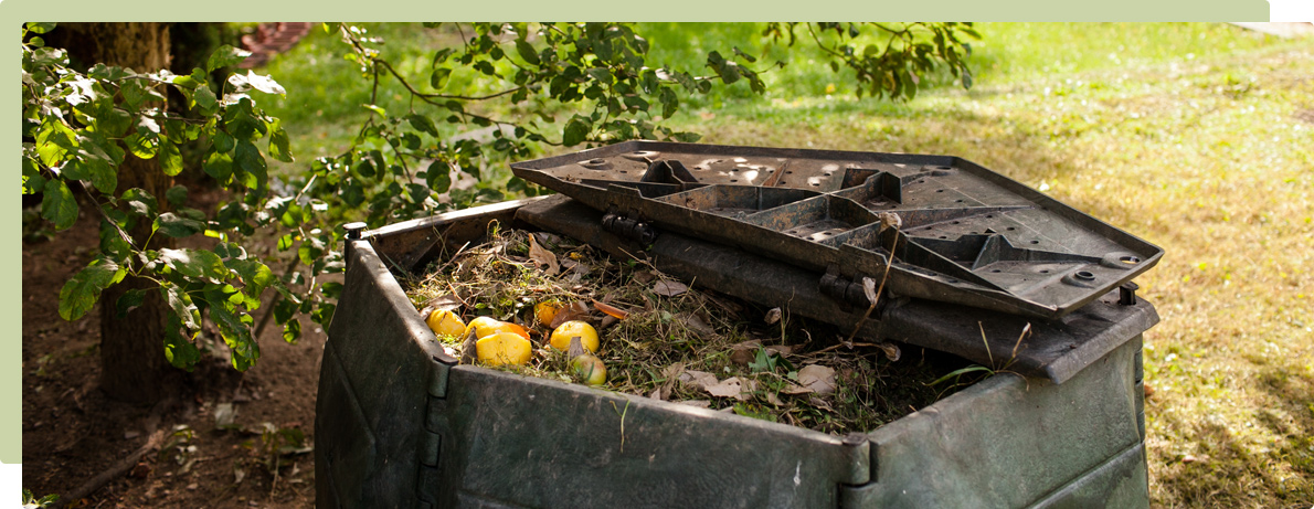 Composting - Why should we do it?