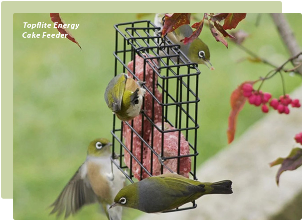 Energy Cake Feeder