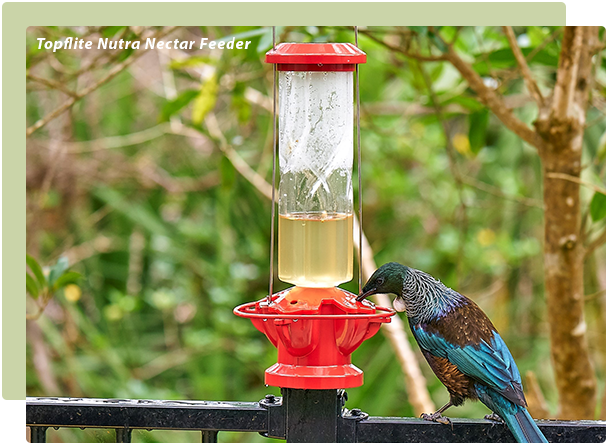 Tui Nutra Nectar Feeder