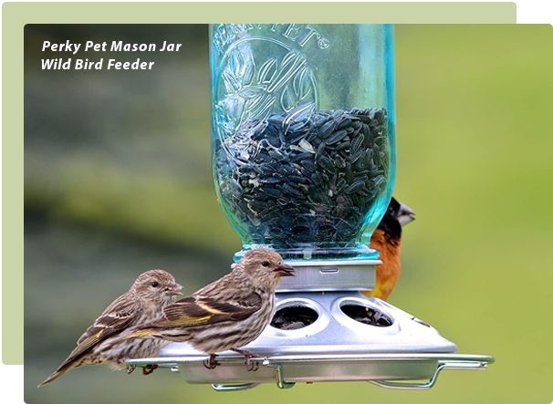 Mason Jar Wild Bird Feeder