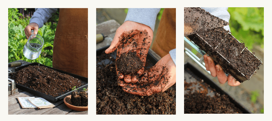 soil-blocking.png